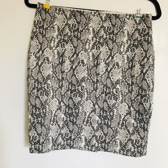 Snake Print Mini Skirt - Picture 5 of 5